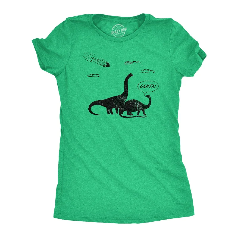 Santa Dinosaurs Women's T Shirt